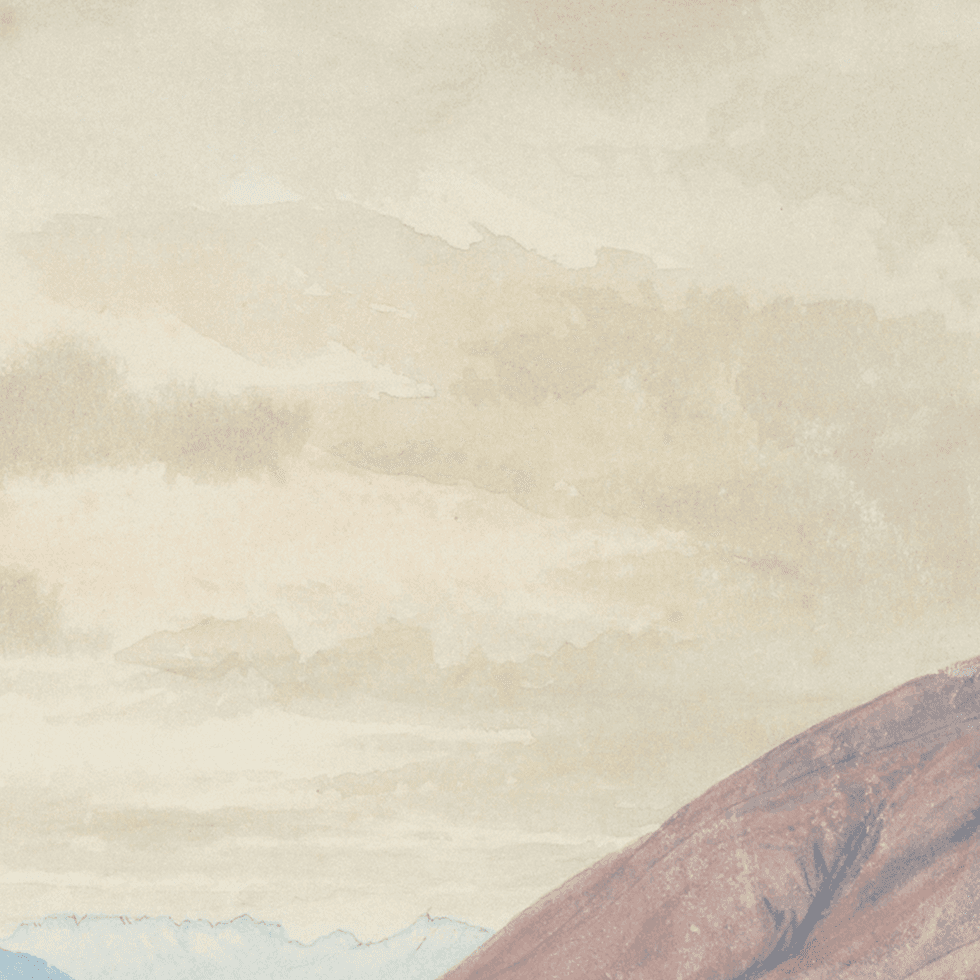 AI insights chat visualization